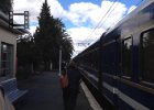 Blue Train excursion